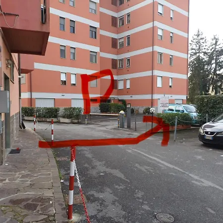 Fagiano Daire